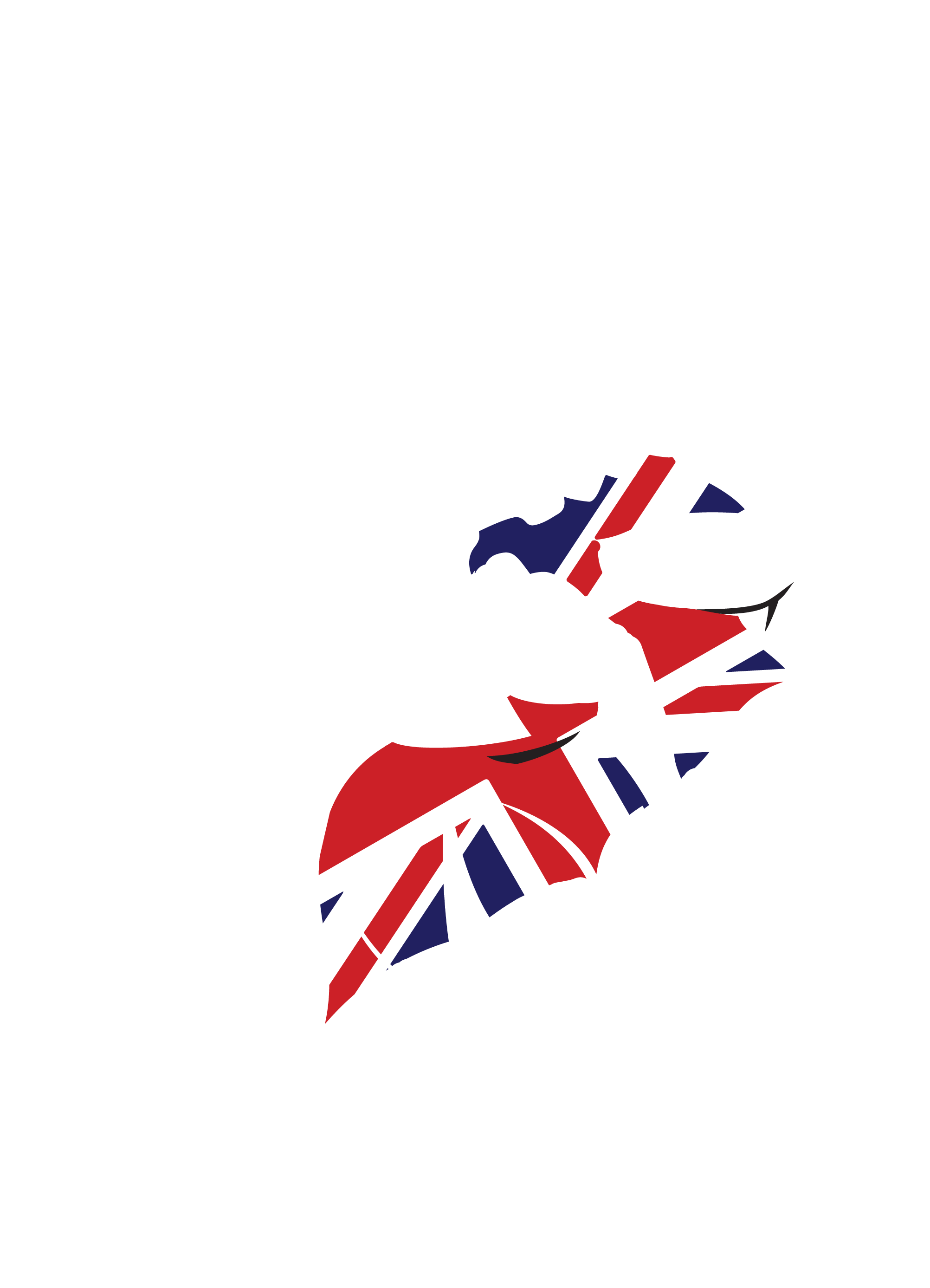 white horse .png