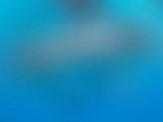 Friday Fun - Underwater