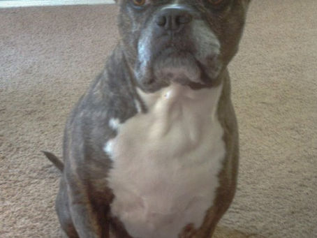 Monday Motivation - I am Resilient!