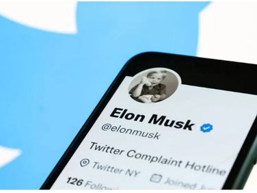 Twitter confirms fee for blue-tick verification after Musk takeover