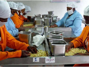 Kenyan agricultural firms get $5m grants from US agencies