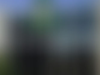 Nigeria: Central Bank Bans Forex Sales to Bureau De Change Operators