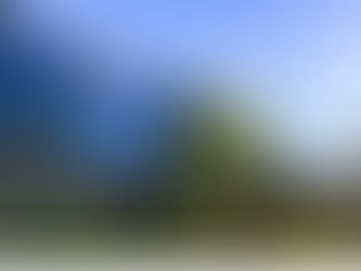 Google nears settlement of French antitrust case