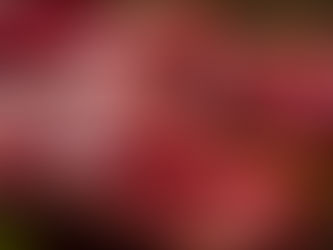 Namibia exports beef to China