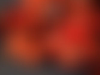 As Indonesia Bans Palm Oil Exports, Nigeria Unable to Seize Lucrative Opportunity