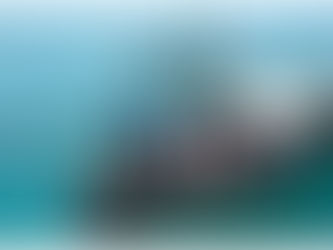 Uganda seeks Kenya partnership in deal to boost tourist numbers