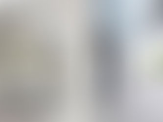 World economy facing delicate moment, IMF says