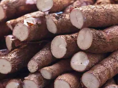 EU supports Ghana with EUR6.5M to boost cassava and fruits export