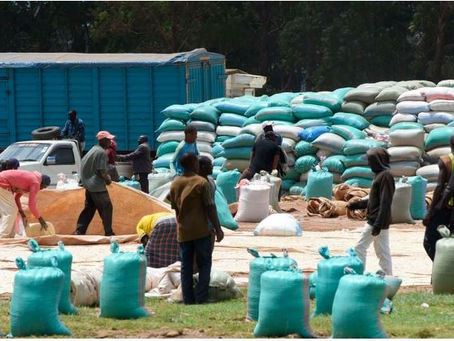 Kenya waives import duty on maize, rice for six months to avert crisis
