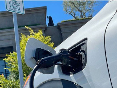 California to ban sales of petrol-only vehicles by 2035