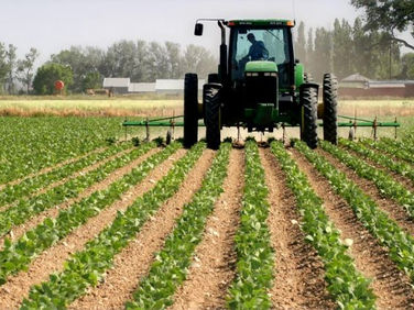 Dutch government mobilises €6 million investment into Nigeria’s agric sector