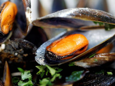 EU, US agree to resume trade in mussels, clams and oysters
