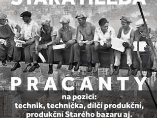 Hledáme nové kolegy/ně