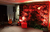 Wedding Guitarist Loveguitar Dinner Guitarist Corporate Acoustic Instrumental