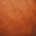 textured dusty burnt orange_edited.jpg