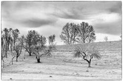 _DSC0613-Modifier-Modifier