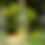 Thumbnail: Green Queen