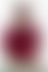 About community yoga...