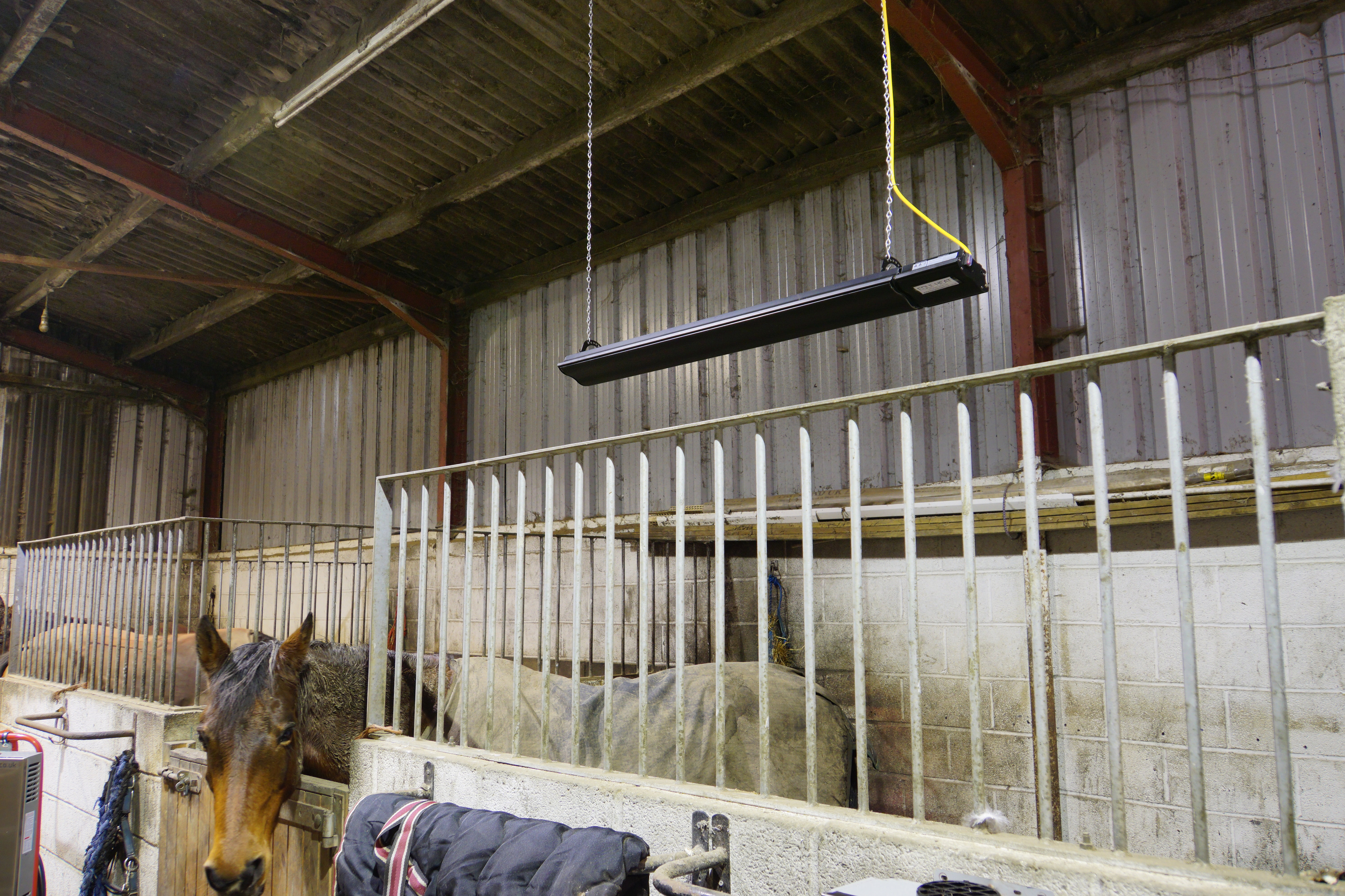 Equi-Heat 2400W Infrared Horse Solarium | horseshowersuk