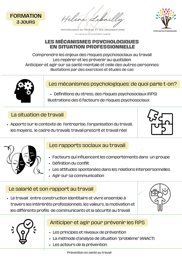 Les mécanismes psychologiques en situation professionnelle