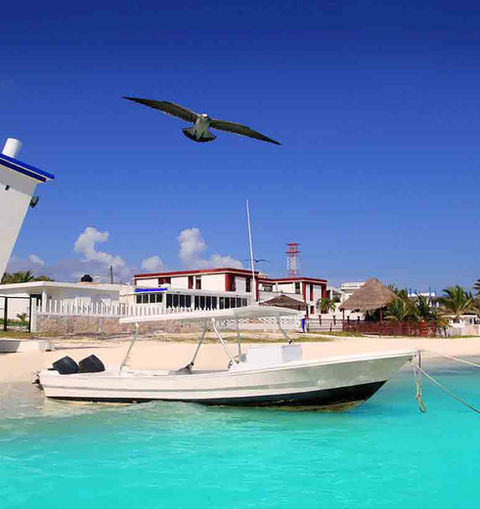 puerto de puerto morelos