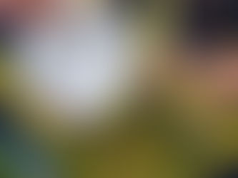 Die grüne Gruppe im Naturschutzzentrum