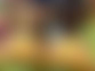 Gesundheitswoche in der roten Gruppe