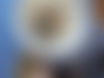 Vogelfutter von der Sonnengruppe