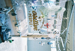 逕イ菴占圖縺ョ蟶・繝翫Ν繝・000019