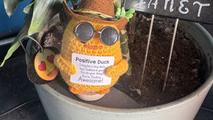 meet the new Cowboy Hatted, Shades Rocking Pharmacy Dropout who became Janet’s New Bestie and the Official Vibe Officer at Joe’s Drive Thru Smog Check®