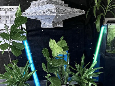 May the 4th Be With You at Joe’s Smog Check