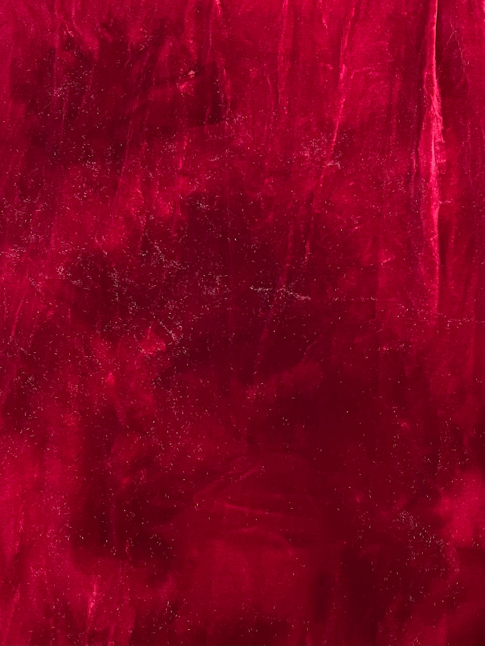 Thumbnail: Cranberry