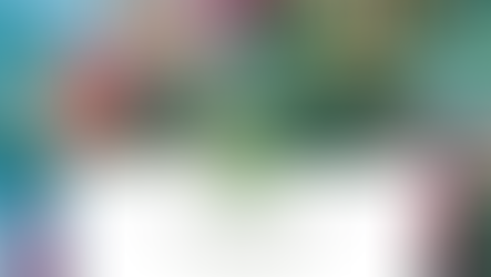 Native Plants Series: Coral Honeysuckle