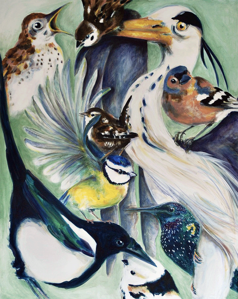 birds, garden, backyard