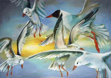 seaguls, birds, air, flying birds, fly, sunset