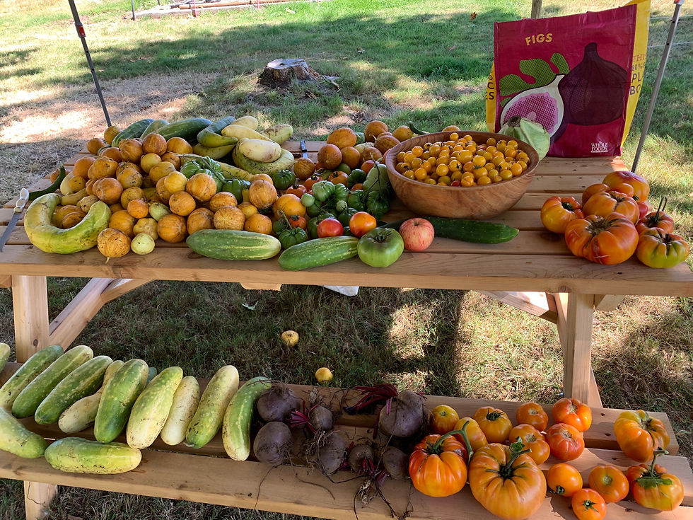 Veggie bounty