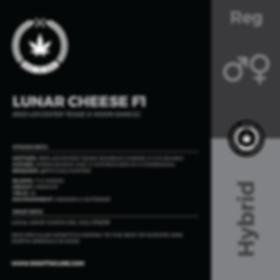 LUNAR CHEESE F1-01.png