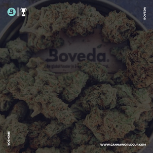 BOVEDA SPONSOR SLIDE-P5-01.png