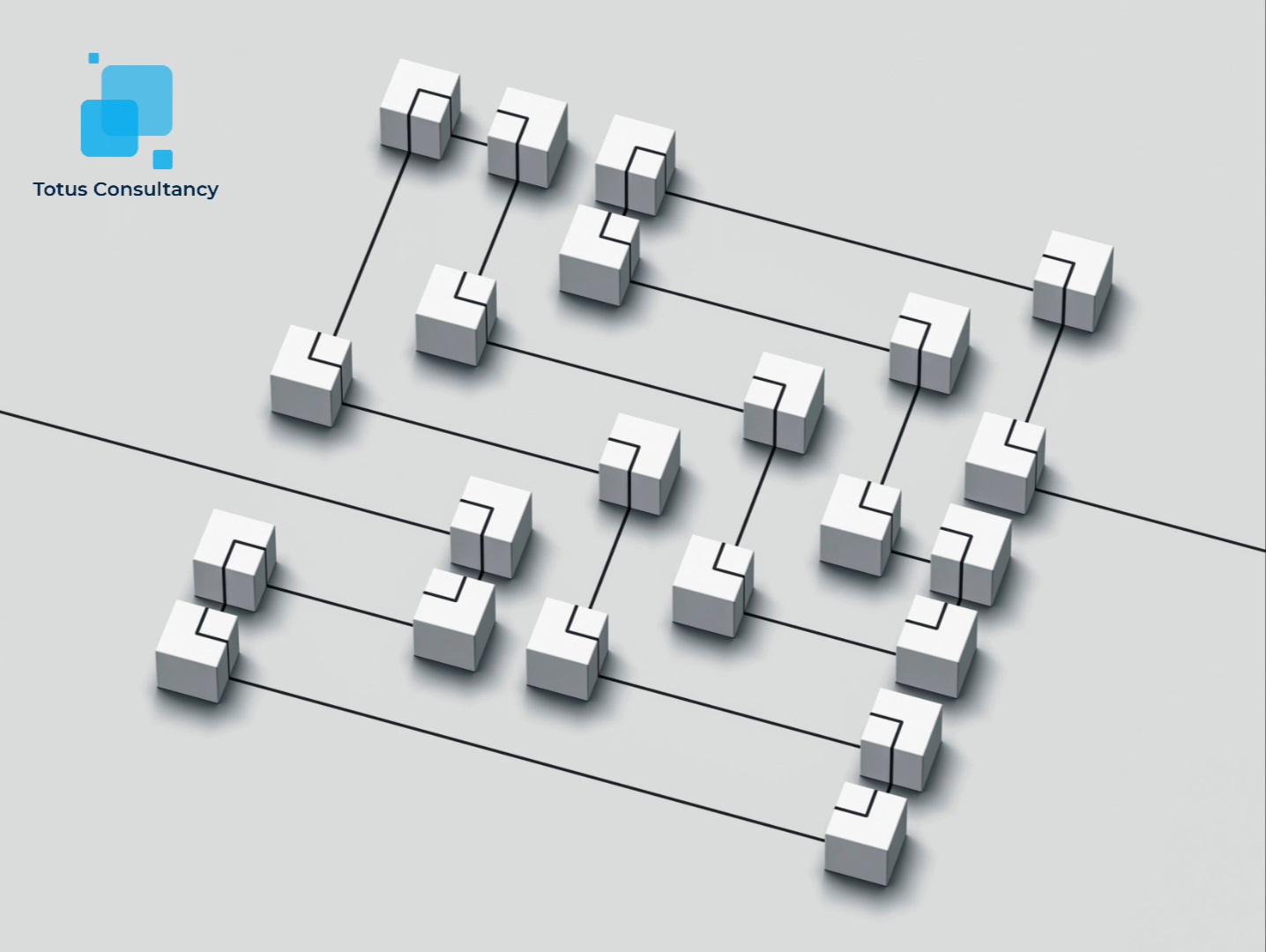 Totus Consultancy