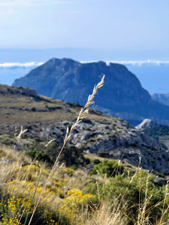 Vista Puig Campana