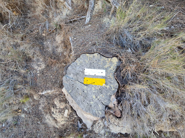 Marca PR a lo largo de la ruta Camí dels Geladors