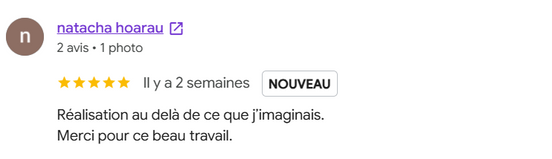 Avis Google ERTI