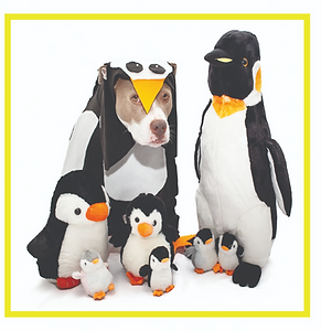 Count With Jazzy spreadys 8.25 x 8_edite