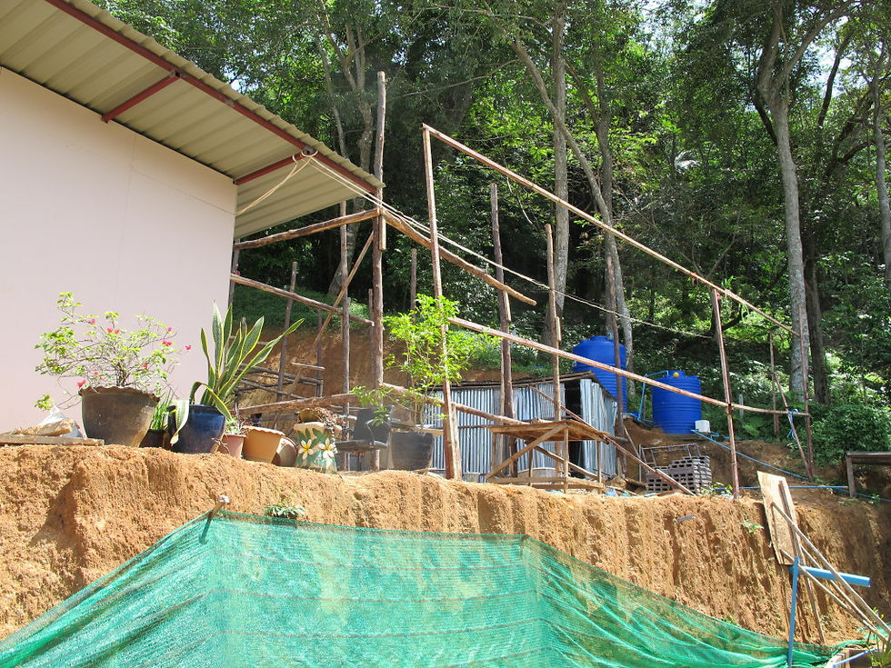 Emerald Terrace July Build Update