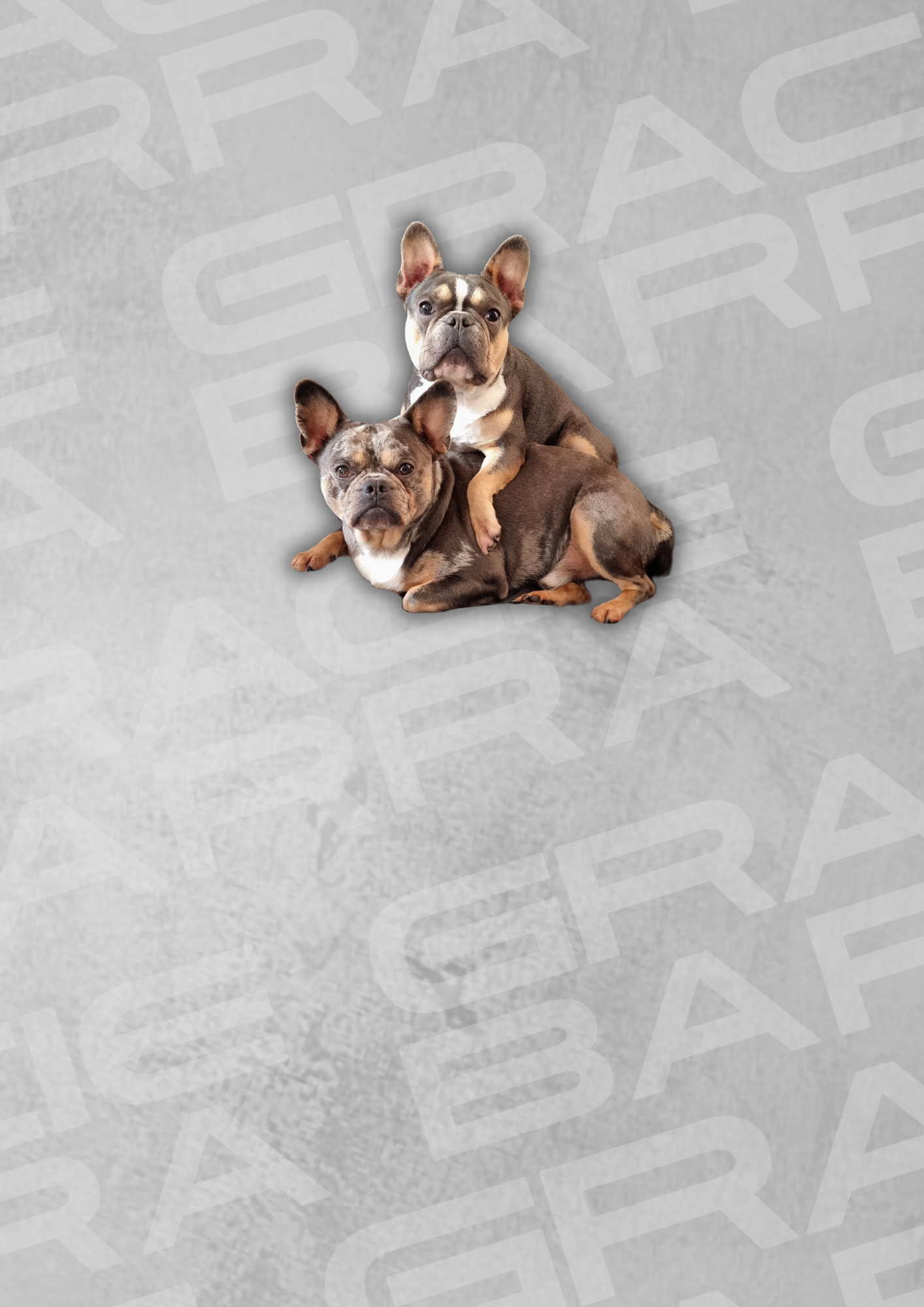 Gracie Barra Neepsend, Sheffield: Brazilian Jiu-Jitsu & Self-Defence School photo