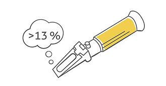2. Qualität (Brix) prüfen