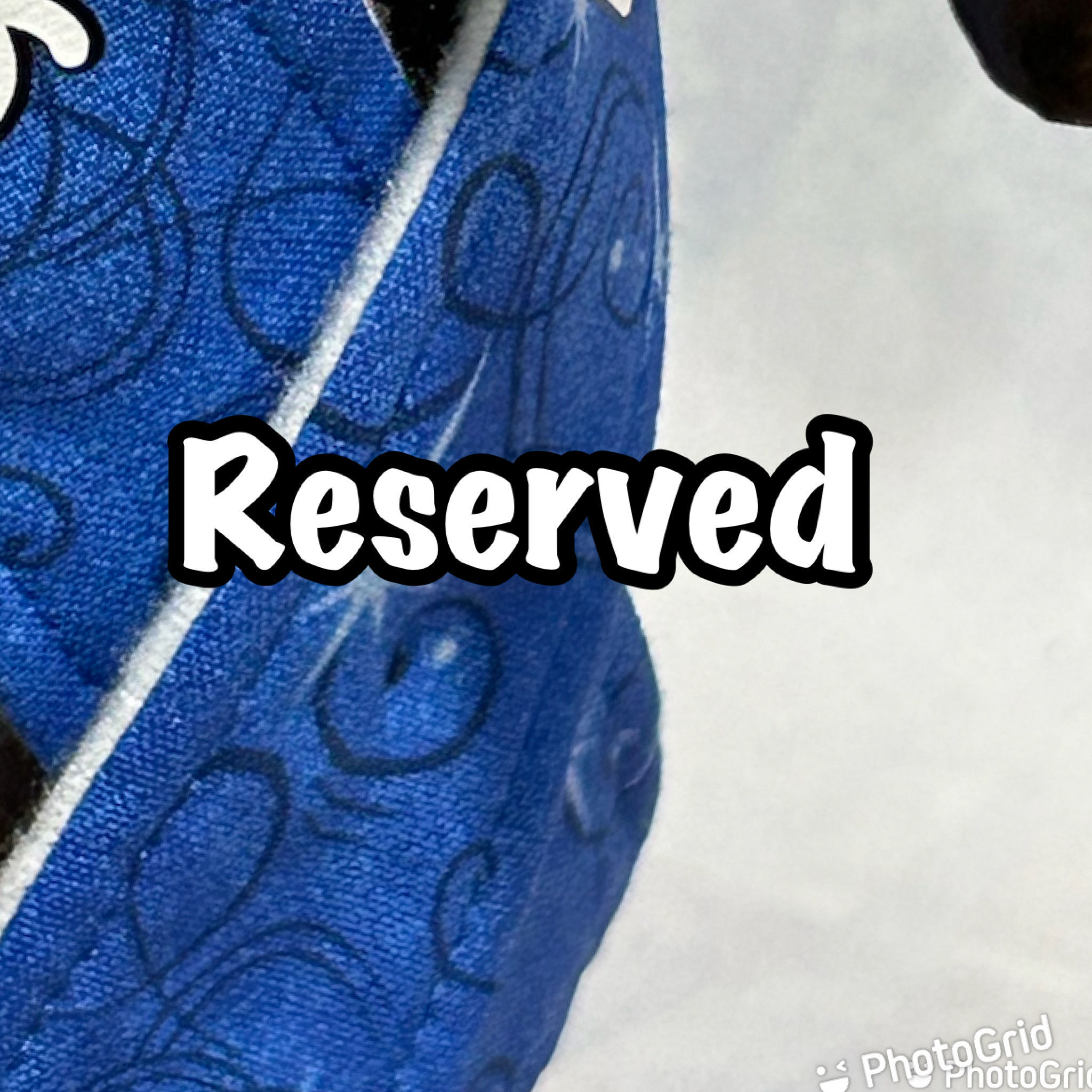 RESERVED - Custom Order for Peggy - Blue Star Toy Horse Sash