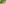 Park Trees