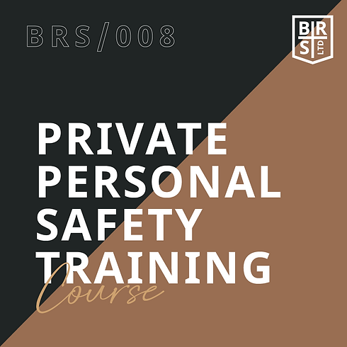 BRS_GFX_Website_TitleBlocks-08.png