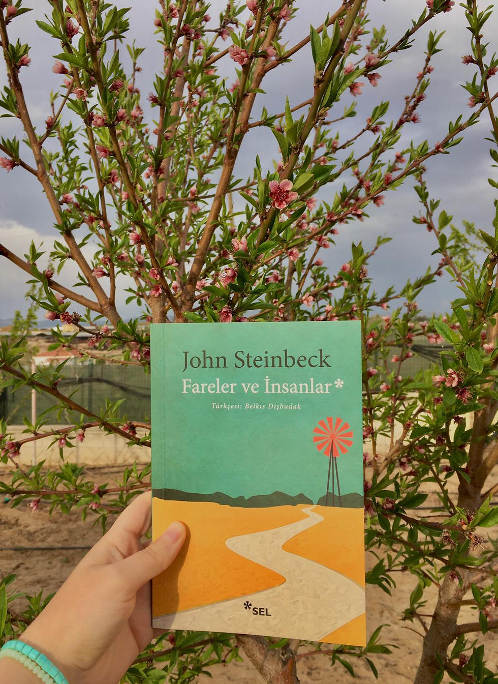 FARELER VE İNSANLAR- JOHN STEINBECK